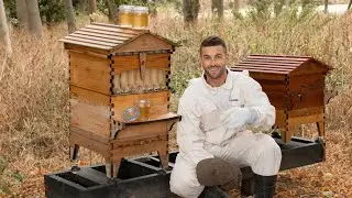 THE MILLEN GORDON HONEY HARVEST | Ali & Lydia Millen Gordon