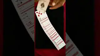 Order and Chaos… #cardmagic #shorts
