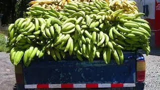 How To Fry Ripe Plantain - How To Fry Plantain At Home