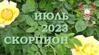 СКОРПИОН | Послания Вселенной на ИЮЛЬ 2023 года | ЖЕЛАНИЕ | ТАРО расклад