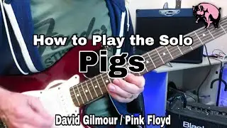 How to Play the Solo - PIGS - PINK FLOYD (David Gilmour). Guitar lesson / tutorial.