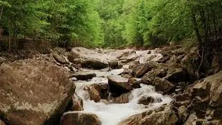 Drone Shot of a Cascading Water in the River🏞️🏞️🏞️🏞️#shorts #youtubevideo #viralvideo#video #viral