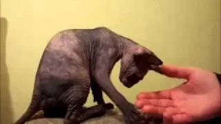Лилу.wmv