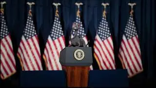 Noodle for President! - Noodle and Bun