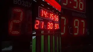 Лето было аномально жарким #shorts