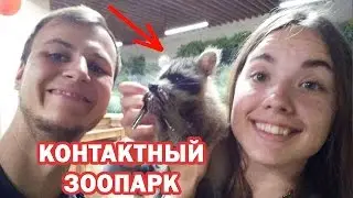 ★Контактный ЗООПАРК Киев 2016 