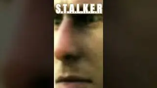 продолжение на канале #сталкер #stalkershadowofchernobyl #stalker
