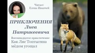 Как Лис Топтыгина медом угощал #читаетЕленаИванчей