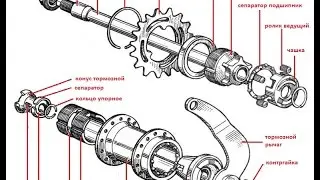Bicycle rear wheel hub with pedal brake, drum type with ratchet drive.