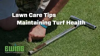 Lawn Care Tips - Maintaining Turf Health