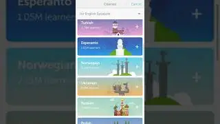 Duolingo my screen