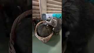 Всем нужно в одно место 