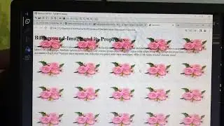 Part (3)=How we can set a (BACKGROUND IMAGE) in {Cascading Styling Sheet}.