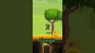 Did You Know About Terraria Secret Bee Seed?