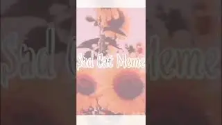 Sad cat animation meme 