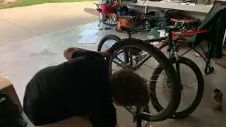 Jd & his wheelies!