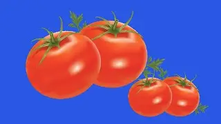 3D & rotate tomato green screen/ 3D vegetable ANIMATION/ rotate tomato green screen