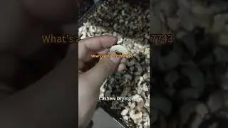 Cashew Nut Wetting Room Drying And Automatic Peeling Machine #machine