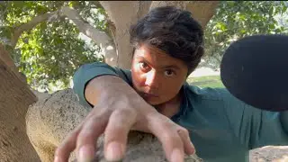 ASMR With Tree Massage