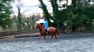 Mondeuse Flat Ride 03032024