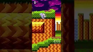 Have you played this Sonic Game?