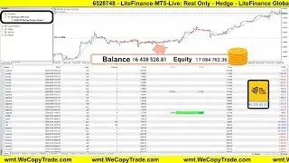 LiveStream - WeCopy Venture Group 1