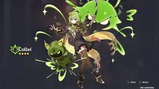 Collei Wish Genshin Impact