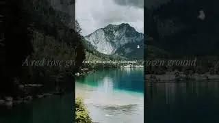 Taylor Swift - the lakes (Lyrics)