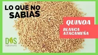 Tips y BENEFICIOS de la QUINOA Blanca ATACAMEÑA (Lo que no sabías 😉)