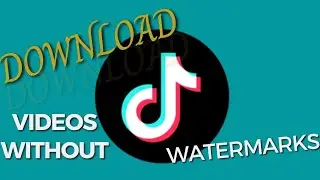 How to download TikTok Videos With.out Water.marks