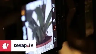 Çok ışık alan bir ortamda diyafram nasıl ayarlanır?