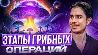 Что происходит в трипе? Структура грибных погружений.