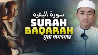 Surah Al Baqarah Full (سورة البقره) HEART TOUCHING RECITATION | holy tv