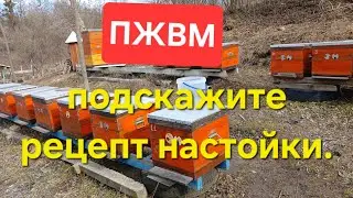 01.03.2024. ПасекаХарьков.Нущен Совет! ПЖВМ.