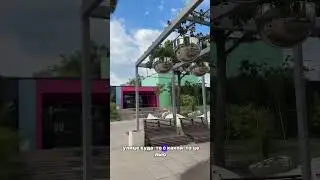 Мысли - это то, чем люди не привыкли управлять.