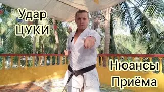 ЦУКИ - УДАР КУЛАКОМ В КАРАТЭ 👊 Подробный разбор техники! Часть 2. Гоа 2023 Kyokushinkai karate OSU!