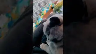 кися в тренде