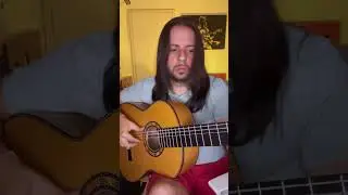 ⚜️#Bulerías - Paco de Lucia - Flavio Rodrigues⚜️ #Flamenco #Guitar #Violao #musica #Guitarra