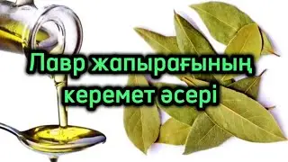 ЛАВР ЖАПЫРАҒЫНЫҢ керемет әсері. Емдік қасиеті. Денсаулық арнасы. Денсаулық
