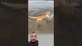 ولله جنود السماوات والأرض 🥺🙁