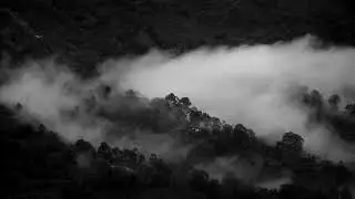 Scott Rill - Running Away