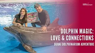 Create Memories of Love and Connections at Dubai Dolphinarium