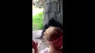 Jory with Chimp