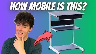 Techni Mobili RTA-B018-GPH06 Rolling Laptop Cart with Storage (Review)