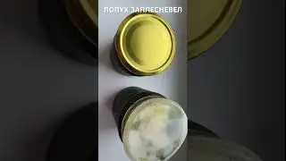 Заготовка сока лопуха. Как сохранить без плесени. #соклопуха #лопух #заготовкалопуха