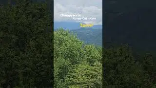 В этих горах гуляют Кокер-Спаниэли