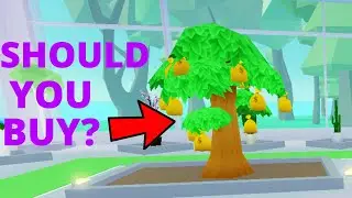 IS THE MONEY TREE WORTH IT? - ROBLOX MY RESTAURANT