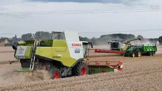 🌾MOISSON DES BLÉS 2024 - 16,5m de COUPE - CLAAS LEXION 760 & 750