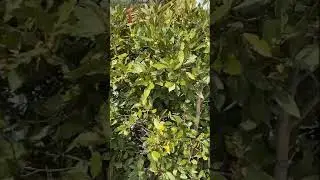 Заговор на удачу счастье и богатство