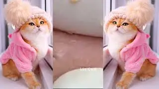 Удаление Угрей, Удаление Прыщей,